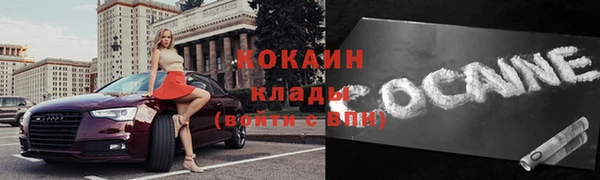 гидра Бородино
