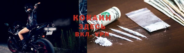 гидра Бородино