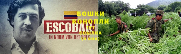 гидра Бородино