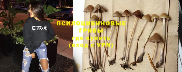 гидра Бородино