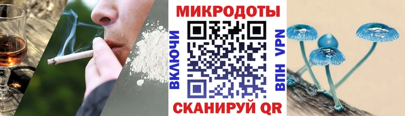 Псилоцибиновые грибы Cubensis  Микунь 